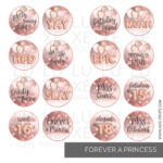 Forever a Princess