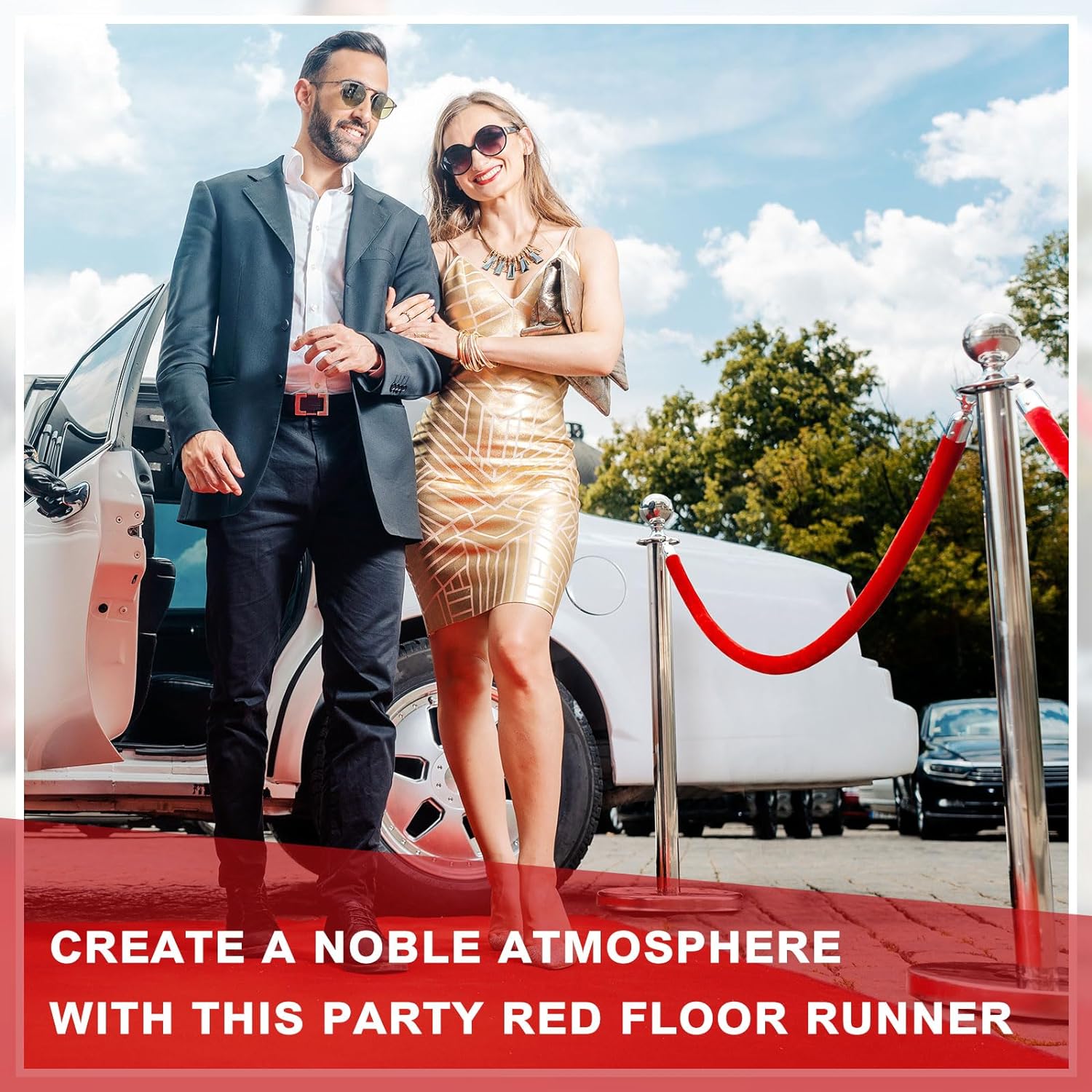 Red Carper and Stanchion Kit - Image 2